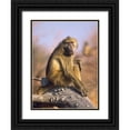 thumbnail image 1 of Fitzharris, Tim 15x18 Black Ornate Wood Framed with Double Matting Museum Art Print Titled - Olive baboon-Kenya, 1 of 4