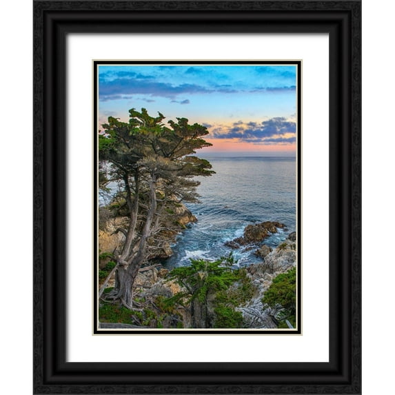 Fitzharris, Tim 15x18 Black Ornate Wood Framed with Double Matting Museum Art Print Titled - Pescdero Point-17-mile drive-Pebble-Beach-California-USA
