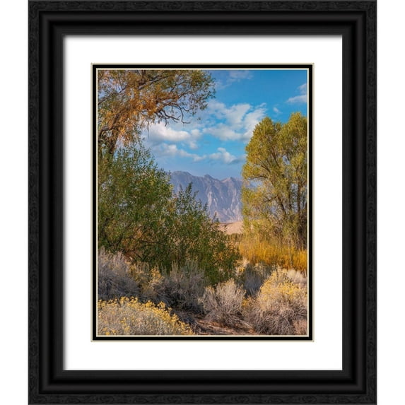 Fitzharris, Tim 15x18 Black Ornate Wood Framed with Double Matting Museum Art Print Titled - Sierra Nevada-Owens Valley-California-USA