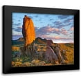 thumbnail image 1 of Fitzharris, Tim 16x15 Black Modern Framed Museum Art Print Titled - Tucson Mountains-Saguaro National Park-Arizona, 1 of 5