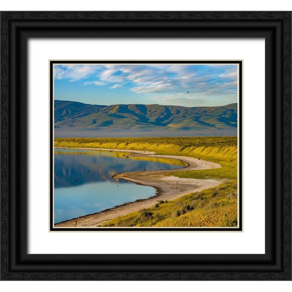 Fitzharris, Tim 16x15 Black Ornate Wood Framed with Double Matting Museum Art Print Titled - Soda Lake-Carrizo Plain National Monument