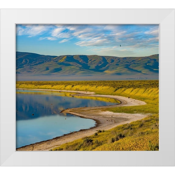 Fitzharris, Tim 16x15 White Modern Wood Framed Museum Art Print Titled - Soda Lake-Carrizo Plain National Monument