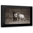 thumbnail image 1 of Fitzharris, Tim 18x13 Black Modern Framed Museum Art Print Titled - Wild horses Badlands Natl Park SD Sepia, 1 of 5