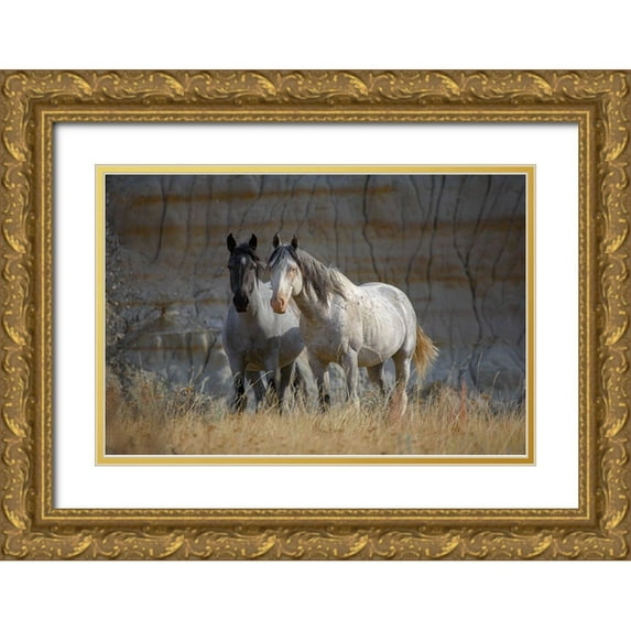 Fitzharris, Tim 18x13 Gold Ornate Wood Framed with Double Matting Museum Art Print Titled - Wild horses Badlands Natl Park SD