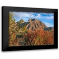 thumbnail image 1 of Fitzharris, Tim 18x15 Black Modern Framed Museum Art Print Titled - Chuparosa and Indian Head Mountain, 1 of 5