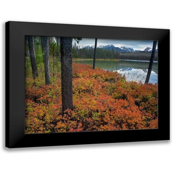 Fitzharris, Tim 18x15 Black Modern Framed Museum Art Print Titled - Sawtooth National Recreation Area-Idaho