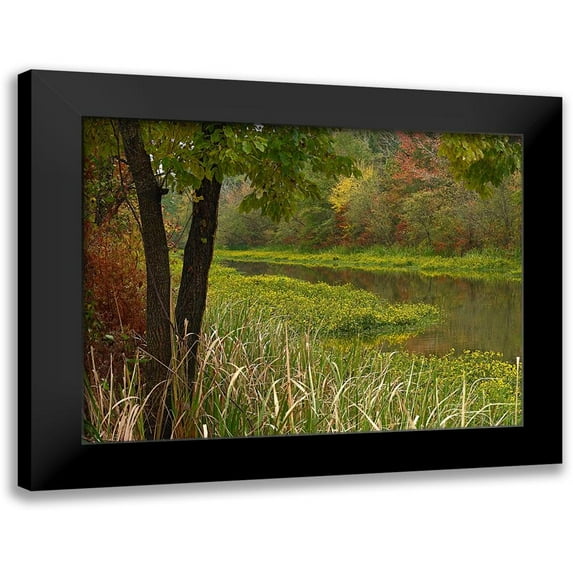 Fitzharris, Tim 18x15 Black Modern Framed Museum Art Print Titled - Wilton Landing at Millwood Lake-Arkansas