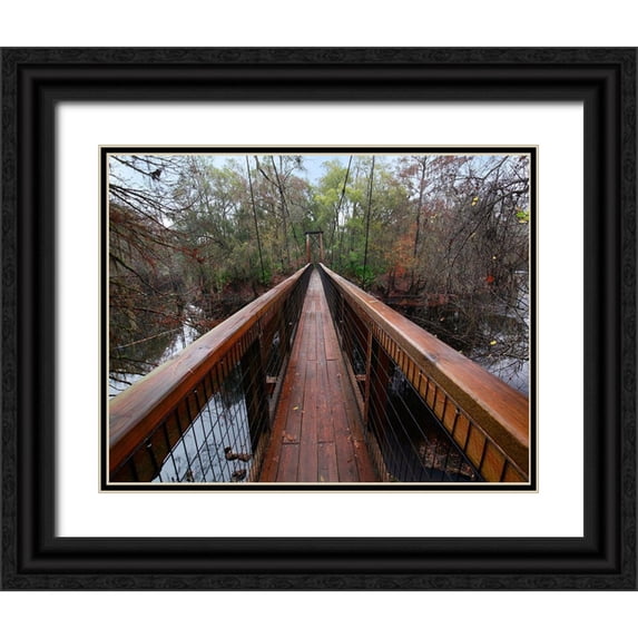 Fitzharris, Tim 18x15 Black Ornate Wood Framed with Double Matting Museum Art Print Titled - Santa Fe River-OLeno State Park-Florida