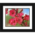 thumbnail image 1 of Fitzharris, Tim 18x15 Black Ornate Wood Framed with Double Matting Museum Art Print Titled - Wrights Penstemon, 1 of 4