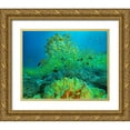 thumbnail image 1 of Fitzharris, Tim 18x15 Gold Ornate Wood Framed with Double Matting Museum Art Print Titled - Yellow snapper school above coral-Miniloc Island-Palawan-Philippines, 1 of 4