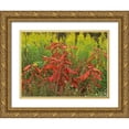 thumbnail image 1 of Fitzharris, Tim 18x15 Gold Ornate Wood Framed with Double Matting Museum Art Print Titled - Sumac and Goldenrods near DeQueen-Arkansas, 1 of 4