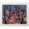 thumbnail image 1 of Fitzharris, Tim 18x15 White Modern Wood Framed Museum Art Print Titled - Cottonwood Tree at Sunset, 1 of 4