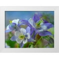 thumbnail image 1 of Fitzharris, Tim 18x15 White Modern Wood Framed Museum Art Print Titled - Rocky Mountain Columbine II, 1 of 4