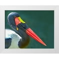 thumbnail image 1 of Fitzharris, Tim 18x15 White Modern Wood Framed Museum Art Print Titled - Saddle-billed Stork-Kenya II, 1 of 4