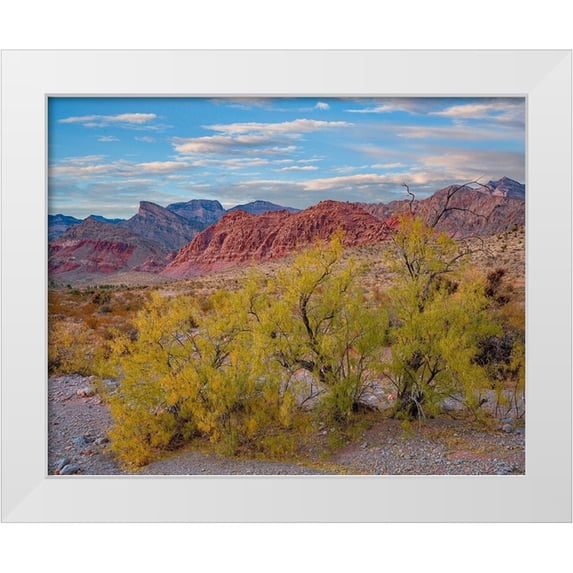 Fitzharris, Tim 18x15 White Modern Wood Framed Museum Art Print Titled - Spring Mountains-Red Rock Canyon National Conservation Area-Nevada