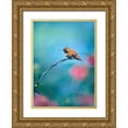 thumbnail image 1 of Fitzharris, Tim 18x24 Gold Ornate Wood Framed with Double Matting Museum Art Print Titled - Rufous Hummingbird Sitting on Branch, 1 of 4