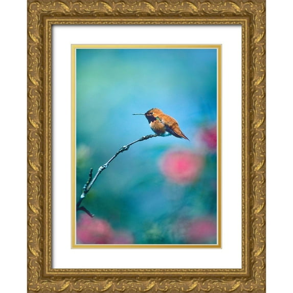 Fitzharris, Tim 18x24 Gold Ornate Wood Framed with Double Matting Museum Art Print Titled - Rufous Hummingbird Sitting on Branch