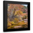 thumbnail image 1 of Fitzharris, Tim 19x24 Black Modern Framed Museum Art Print Titled - East Verde River-Arizona-USA, 1 of 5