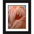 thumbnail image 1 of Fitzharris, Tim 19x24 Black Ornate Wood Framed with Double Matting Museum Art Print Titled - Caribbean Greater Flamingo Close-up of Back, 1 of 4