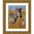 thumbnail image 1 of Fitzharris, Tim 19x24 Gold Ornate Wood Framed with Double Matting Museum Art Print Titled - Zebra, 1 of 4