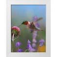 thumbnail image 1 of Fitzharris, Tim 19x24 White Modern Wood Framed Museum Art Print Titled - Ruby Throated Hummingbirds, 1 of 4