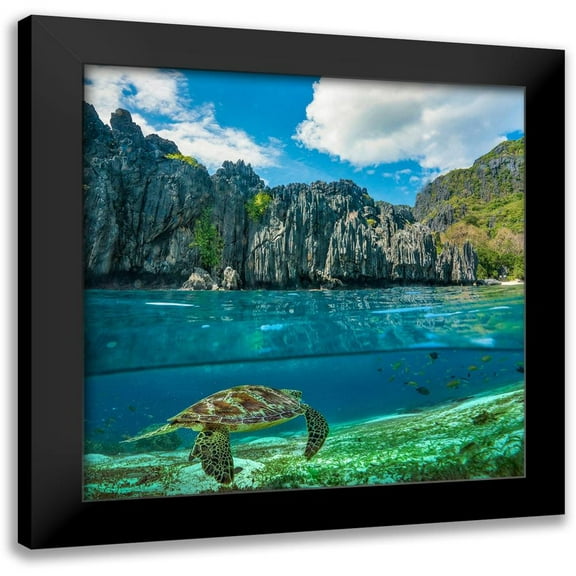 Fitzharris, Tim 20x20 Black Modern Framed Museum Art Print Titled - Green sea turtle and sharst cliffs near Secret Lagoon-Palawan-Philippines