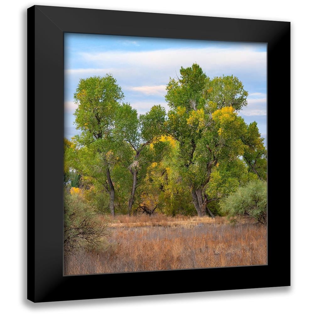 Riverine Ranch Fitzharris, Tim 20x24 Black Modern Framed Museum Art Print Titled ...