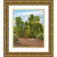 thumbnail image 1 of Fitzharris, Tim 20x24 Gold Ornate Wood Framed with Double Matting Museum Art Print Titled - Riverine Forest-Dead Horse Ranch State Park-Arizona, 1 of 4