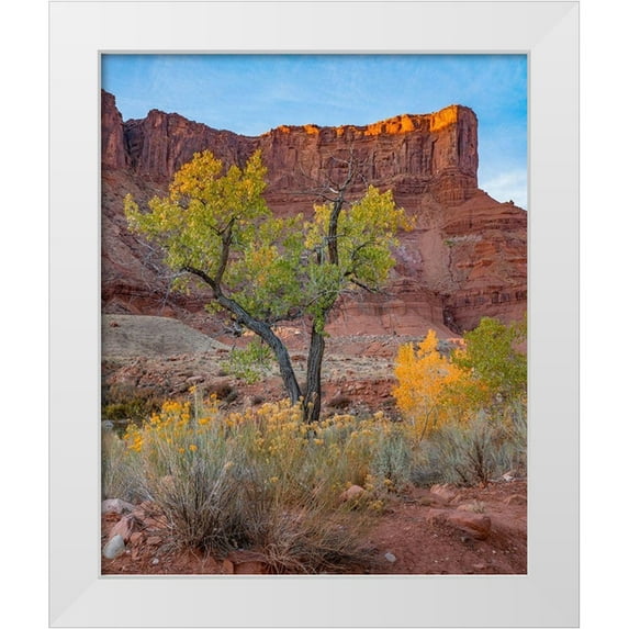 Fitzharris, Tim 20x24 White Modern Wood Framed Museum Art Print Titled - Sandstone Cliffs at Porcupine Canyon-Utah