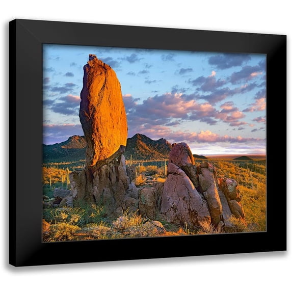 Fitzharris, Tim 22x20 Black Modern Framed Museum Art Print Titled - Tucson Mountains-Saguaro National Park-Arizona