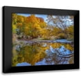 thumbnail image 1 of Fitzharris, Tim 22x20 Black Modern Framed Museum Art Print Titled - Verde River near Camp Verde-Arizona-USA, 1 of 5