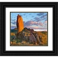 thumbnail image 1 of Fitzharris, Tim 22x20 Black Ornate Wood Framed with Double Matting Museum Art Print Titled - Tucson Mountains-Saguaro National Park-Arizona, 1 of 4