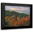 thumbnail image 1 of Fitzharris, Tim 23x20 Black Modern Framed Museum Art Print Titled - Chuparosa-Anza Borrego Desert State Park-California-USA, 1 of 5