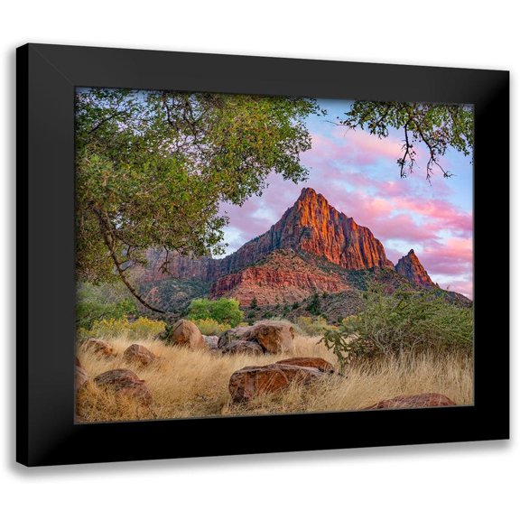 Fitzharris, Tim 23x20 Black Modern Framed Museum Art Print Titled - The Watchman-Zion National Park-Utah-USA