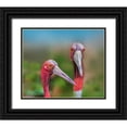 thumbnail image 1 of Fitzharris, Tim 23x20 Black Ornate Wood Framed with Double Matting Museum Art Print Titled - Indian Cranes, 1 of 4