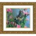 thumbnail image 1 of Fitzharris, Tim 23x20 Gold Ornate Wood Framed with Double Matting Museum Art Print Titled - Black Chinned Hummingbird, 1 of 4