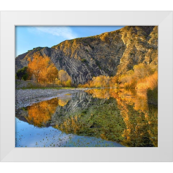 Fitzharris, Tim 23x20 White Modern Wood Framed Museum Art Print Titled - Santa Ynez Mountains Reflected in Santa Ynez River-California