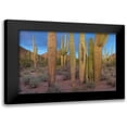 thumbnail image 1 of Fitzharris, Tim 24x17 Black Modern Framed Museum Art Print Titled - Tucson Mountains-Saguaro National Park-Arizona, 1 of 5