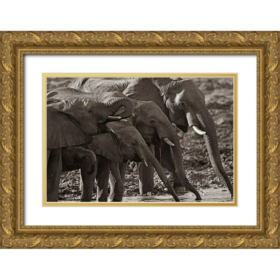 Fitzharris, Tim 24x17 Gold Ornate Wood Framed with Double Matting Museum Art Print Titled - African elephants at a waterhole-Zimbabwe Sepia