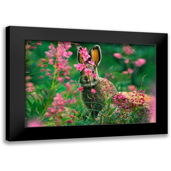 Fitzharris, Tim 24x18 Black Modern Framed Museum Art Print Titled - Snowshoe