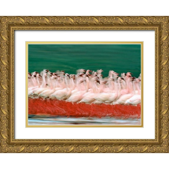 Fitzharris, Tim 24x18 Gold Ornate Wood Framed with Double Matting Museum Art Print Titled - Lesser Flamingos Parading-Kenya