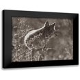 thumbnail image 1 of Fitzharris, Tim 24x19 Black Modern Framed Museum Art Print Titled - Coyote Scouting Sepia, 1 of 5