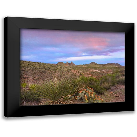 Fitzharris, Tim 24x19 Black Modern Framed Museum Art Print Titled - Mule Ears Peaks-Big Bend National Park-Texas