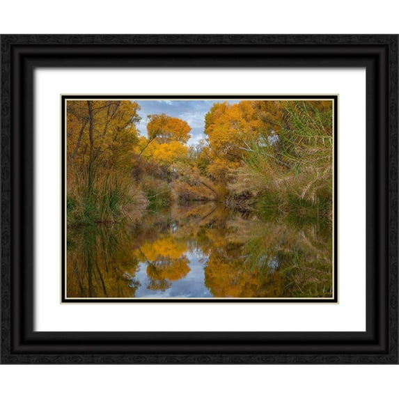 Fitzharris, Tim 24x19 Black Ornate Wood Framed with Double Matting Museum Art Print Titled - Lagoon Reflection-Dead Horse Ranch State Park-Arizona-USA