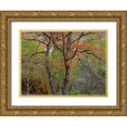 thumbnail image 1 of Fitzharris, Tim 24x19 Gold Ornate Wood Framed with Double Matting Museum Art Print Titled - Lost Maples State Park-Texas, 1 of 4
