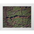 thumbnail image 1 of Fitzharris, Tim 24x19 White Modern Wood Framed Museum Art Print Titled - African buffalo herd in swamp-Amboseli-Kenya, 1 of 4
