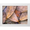 thumbnail image 1 of Fitzharris, Tim 24x19 White Modern Wood Framed Museum Art Print Titled - Frozen Willow Leaves, 1 of 4