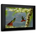thumbnail image 1 of Fitzharris, Tim 24x20 Black Modern Framed Museum Art Print Titled - Rufous Tailed Hummingbirds, 1 of 5