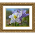 thumbnail image 1 of Fitzharris, Tim 24x20 Gold Ornate Wood Framed with Double Matting Museum Art Print Titled - Rocky Mountain Columbine III, 1 of 4
