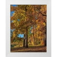 thumbnail image 1 of Fitzharris, Tim 25x32 White Modern Wood Framed Museum Art Print Titled - Tyler Lake State Park-Texas, 1 of 4